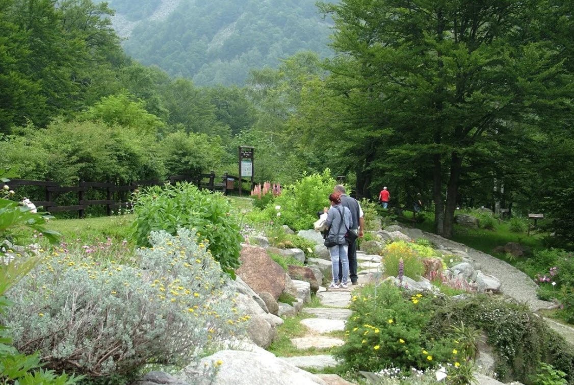 Giardino Botanico Montano di Pratorondanino, Campo Ligure, Metropolitan City of Genoa, Italy, Italy